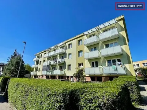 Pronájem bytu 1+kk, Kyjov, Mezi Mlaty, 22 m2