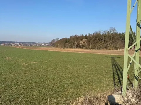 Prodej podílu lesa, Sojovice, 6719 m2