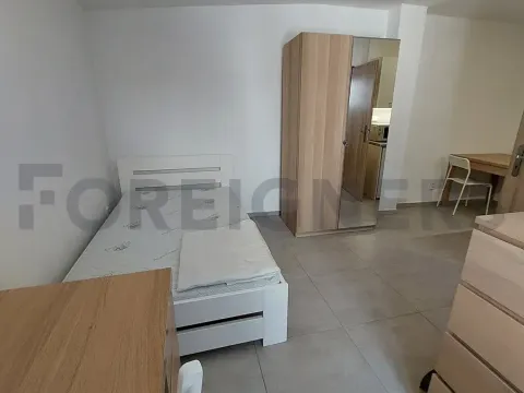 Pronájem bytu 1+kk, Olomouc, Ztracená, 25 m2
