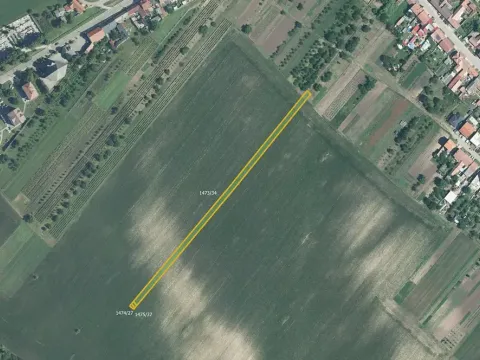 Prodej pole, Starý Poddvorov, 7224 m2