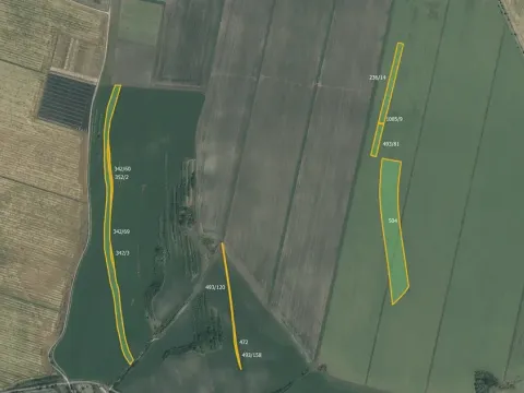 Prodej pole, Žabovřesky nad Ohří, 56857 m2