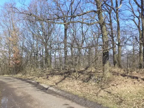 Prodej pozemku, Ústí nad Labem, 7064 m2
