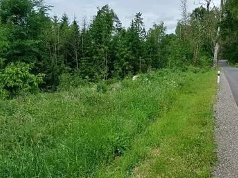 Prodej lesa, Častrov, 144 m2