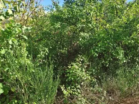 Prodej pozemku, Hlince, 192 m2