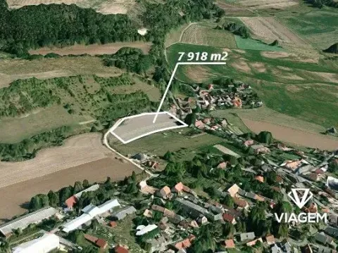 Prodej pole, Kochánky, 7918 m2