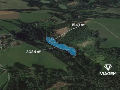 Prodej podílu lesa, Stružinec, 4813 m2