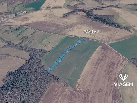 Prodej podílu pole, Dobrkovice, 4306 m2