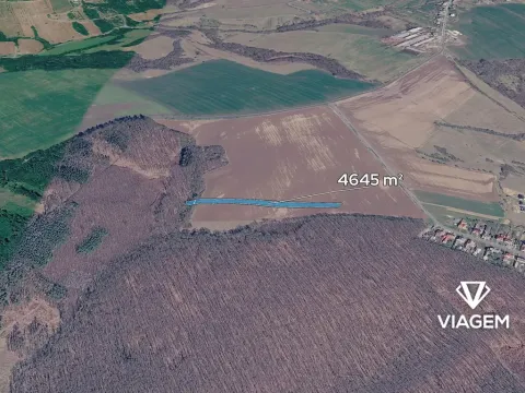 Prodej podílu pole, Dobrkovice, 2903 m2