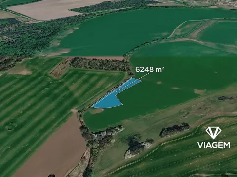 Prodej pole, Živanice, 6248 m2