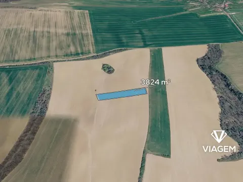 Prodej pole, Žeravice, 3824 m2