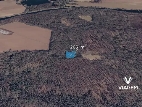 Prodej podílu lesa, Přerov nad Labem, 1325 m2