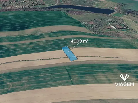 Prodej podílu pole, Boršice, 400 m2