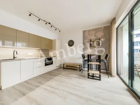 Pronájem bytu 1+kk, Praha - Karlín, U Sluncové, 33 m2