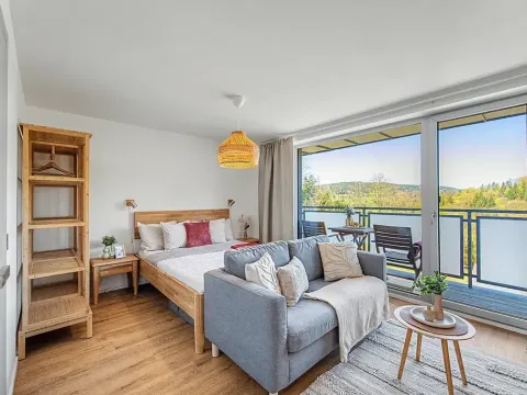Prodej bytu 1+kk, Janov nad Nisou, 27 m2