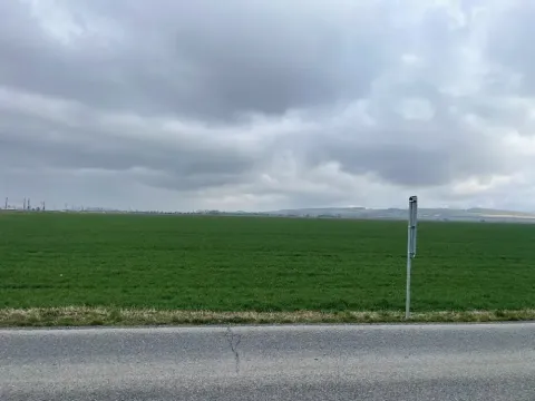 Dražba pole, Břest, 10178 m2
