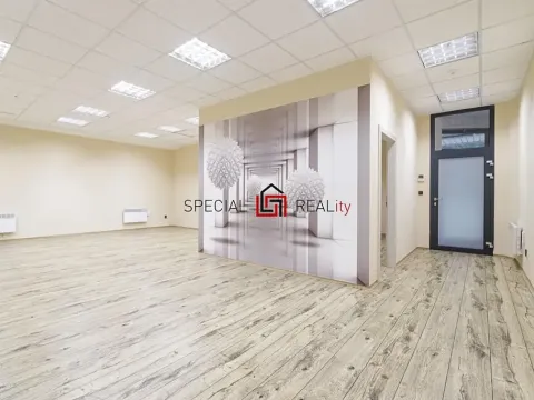 Prodej skladu, Ostrava, U Staré elektrárny, 121 m2