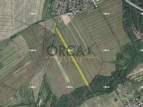 Prodej pole, Dolní Újezd, 4582 m2