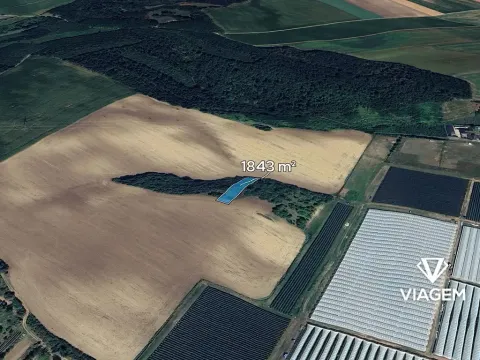 Prodej zahrady, Hovorany, 1843 m2