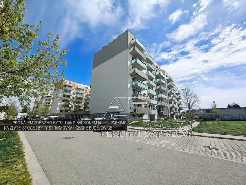 Pronájem bytu 1+kk, České Budějovice, Na Zlaté stoce, 31 m2