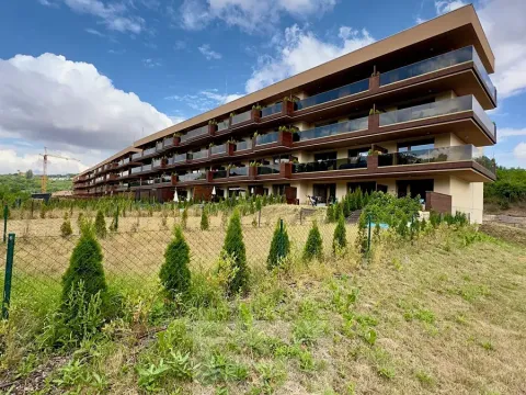 Pronájem bytu 1+kk, Slaný, Lázeňská, 35 m2