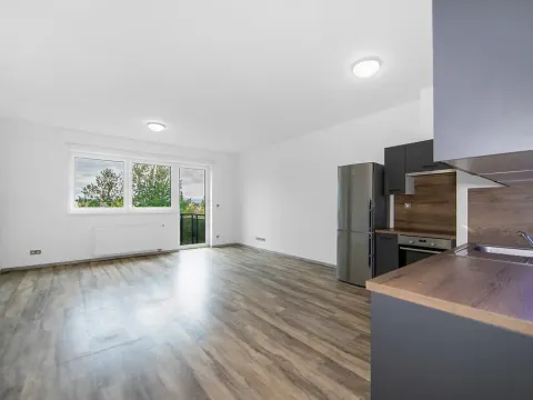 Pronájem bytu 2+kk, Plzeň - Severní Předměstí, Bolevecká, 58 m2
