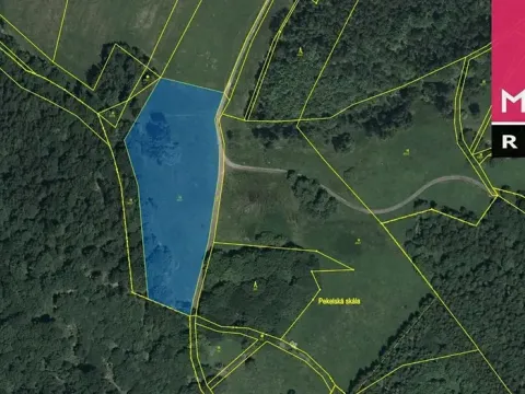 Prodej louky, Stráž nad Ohří, 9519 m2