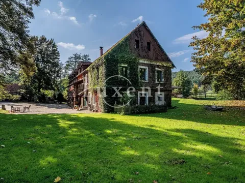 Prodej rodinného domu, Stříbrná Skalice, 1700 m2