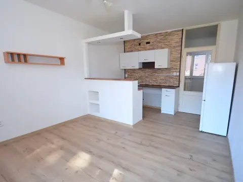 Pronájem bytu 1+kk, Frýdek-Místek, Javorová, 23 m2