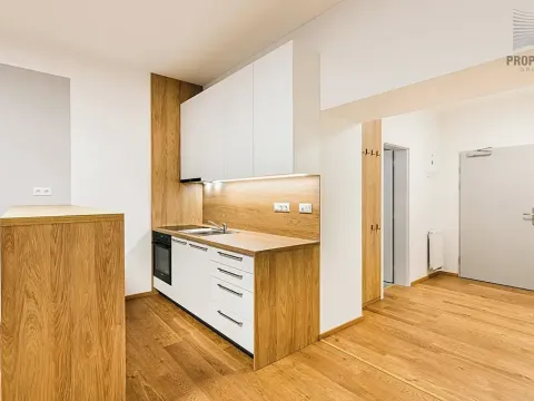 Pronájem bytu 2+kk, Brno, Stavební, 58 m2