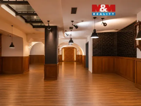 Prodej obchodního prostoru, Olomouc, Riegrova, 890 m2