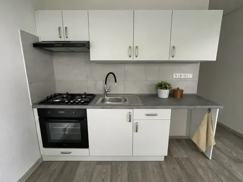 Pronájem bytu 1+1, Litvínov, Čapkova, 38 m2