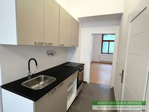 Pronájem bytu 1+1, Praha - Žižkov, Bořivojova, 47 m2