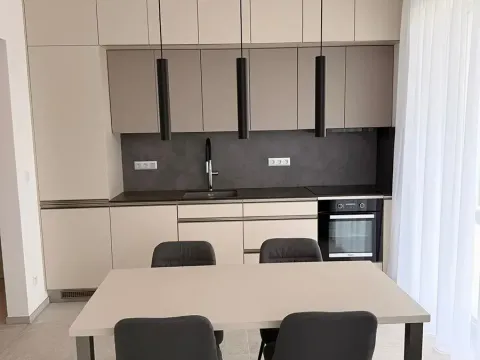 Pronájem bytu 2+kk, Hajany, 50 m2