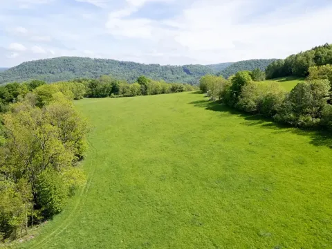 Prodej pole, Děčín, 19126 m2