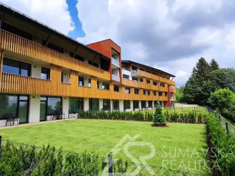 Prodej bytu 1+kk, Stachy, Zadov, 27 m2