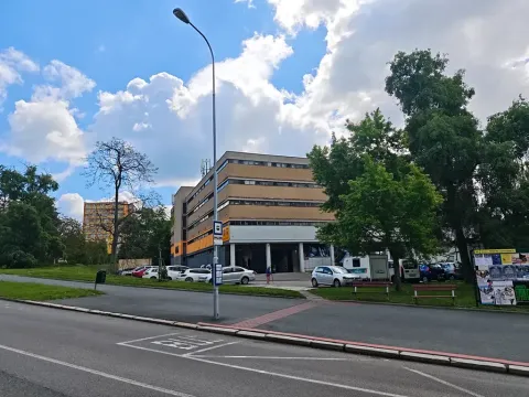 Pronájem garážového stání, Brno, Loosova, 14 m2