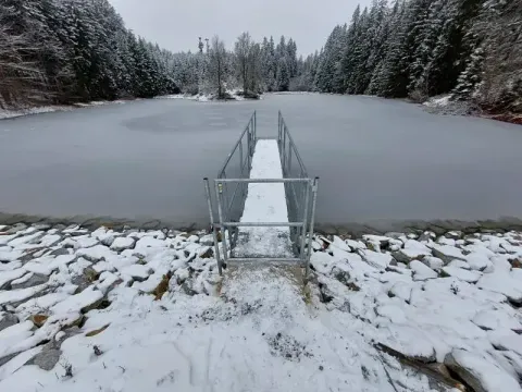 Pronájem rybníku, Staré Město pod Landštejnem, 12407 m2