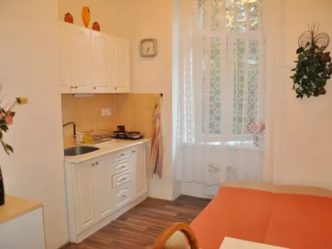 Pronájem bytu 1+kk, Brno, Ptašínského, 18 m2