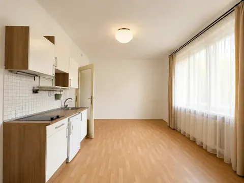Prodej bytu 1+kk, Praha - Nové Město, Petrská, 25 m2