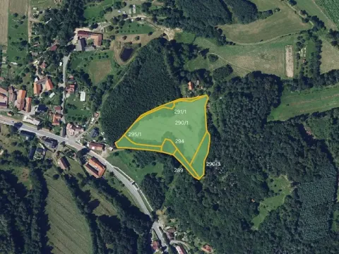 Prodej louky, Bystřice nad Pernštejnem, 26474 m2