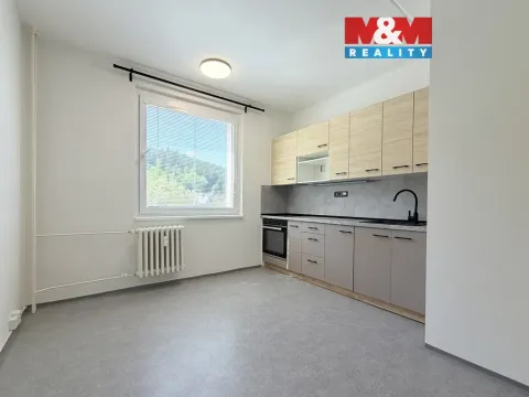Pronájem bytu 1+1, Ústí nad Orlicí - Hylváty, Třebovská, 35 m2