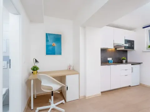 Prodej bytu 1+kk, Praha - Krč, Čerčanská, 20 m2