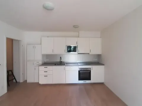 Pronájem bytu 1+kk, Praha - Žižkov, Kunešova, 34 m2