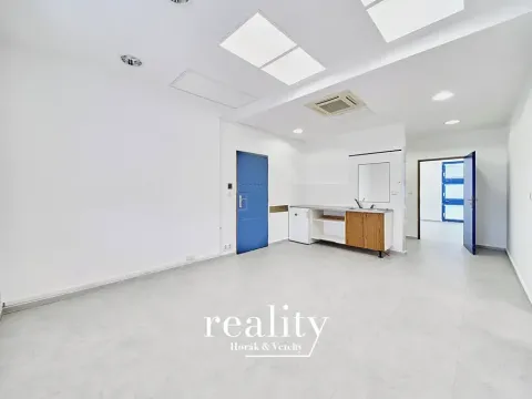 Pronájem ordinace, Znojmo, Kuchařovická, 84 m2