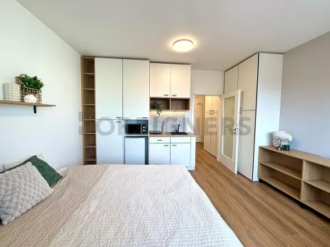 Pronájem bytu 1+kk, Brno, Cejl, 30 m2