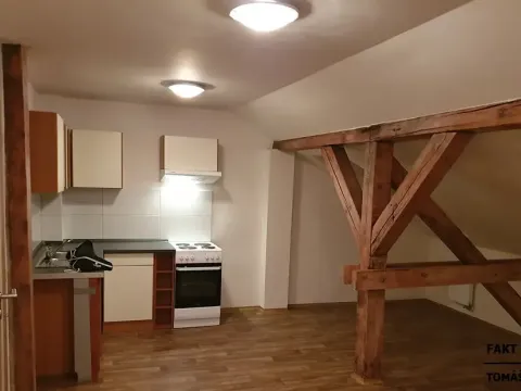 Pronájem bytu 1+kk, Ústí nad Labem, Londýnská, 52 m2