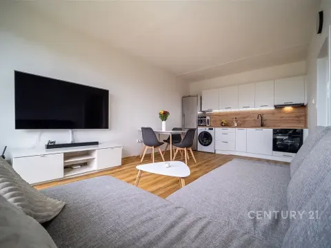 Prodej bytu 2+kk, České Budějovice - České Budějovice 2, Otavská, 46 m2