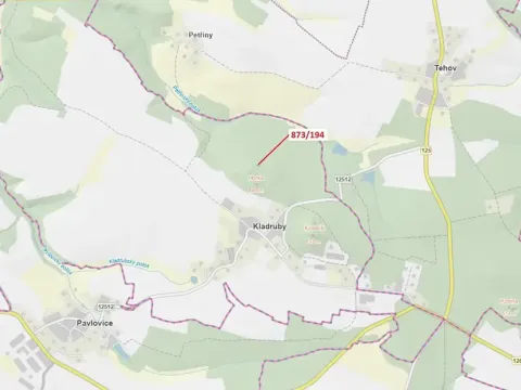 Dražba lesa, Kladruby, 132 m2