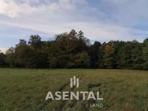 Prodej pozemku, Orlová - Poruba, Těšínská, 4096 m2
