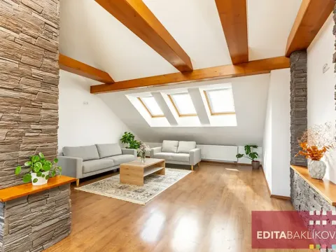 Prodej bytu 3+kk, Olomouc, Hodolanská, 112 m2